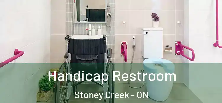  Handicap Restroom Stoney Creek - ON