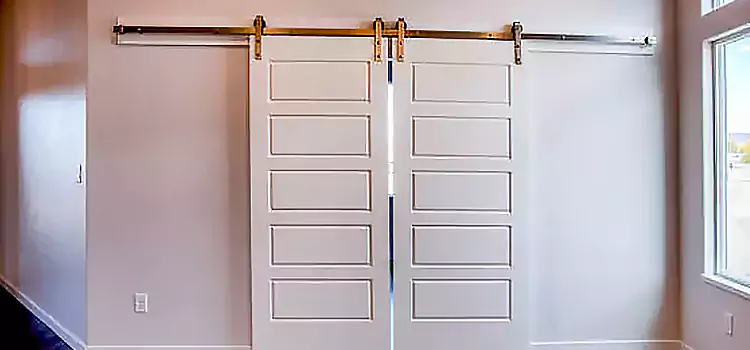 Glass Barn Door with Installation Hardware Kit Stoney Creek