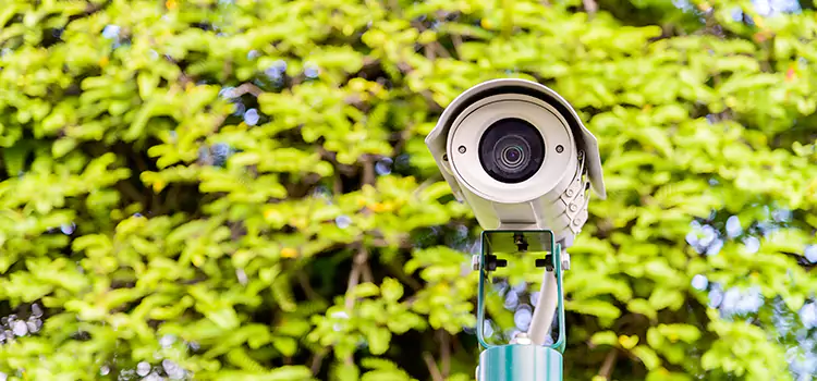 Advanced Surveillance Solutions for Every Need in Stoney Creek