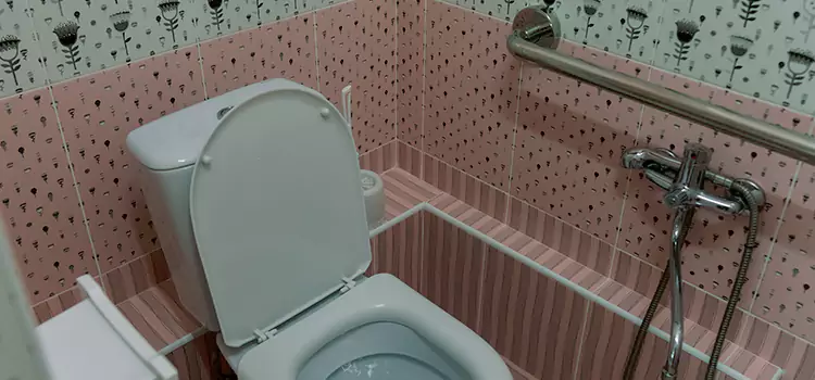 Meeting Diverse Needs With Accessible Restroom Solutions in Stoney Creek, ON